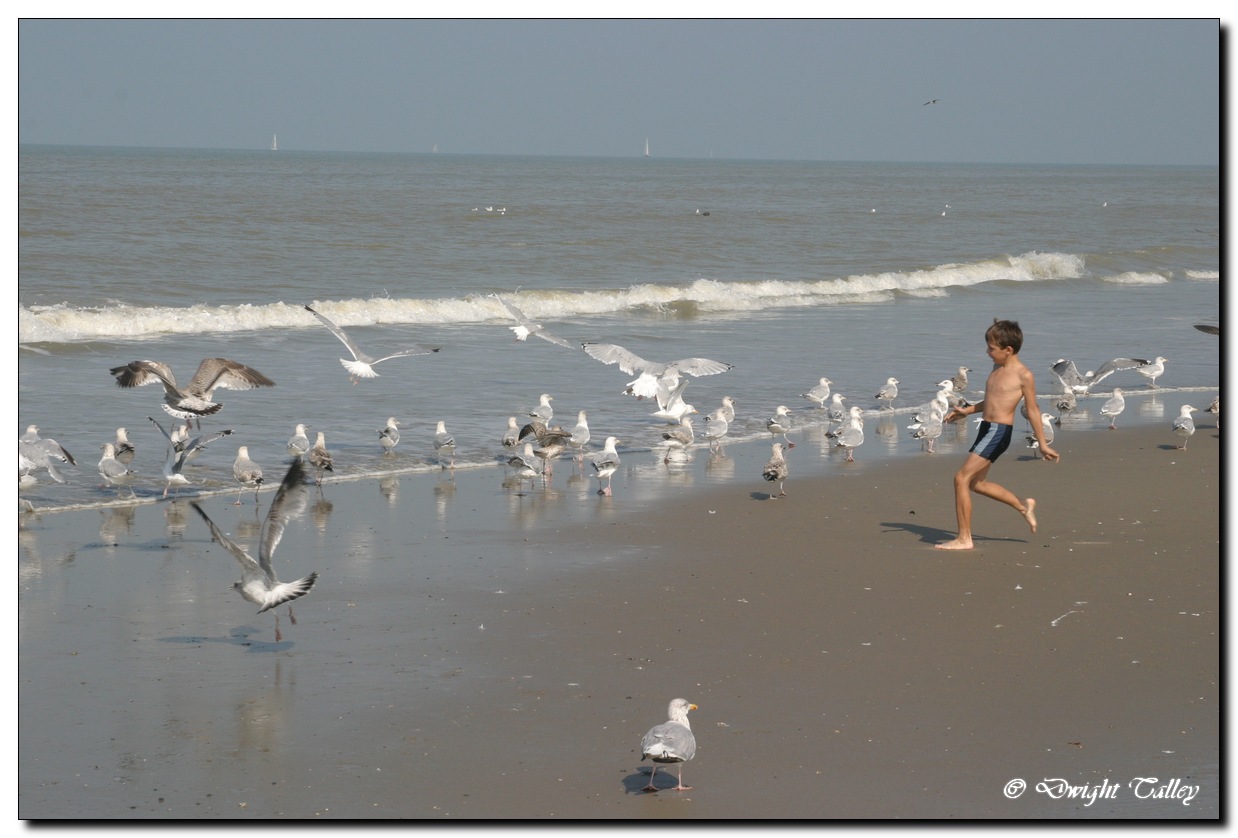 beach 034